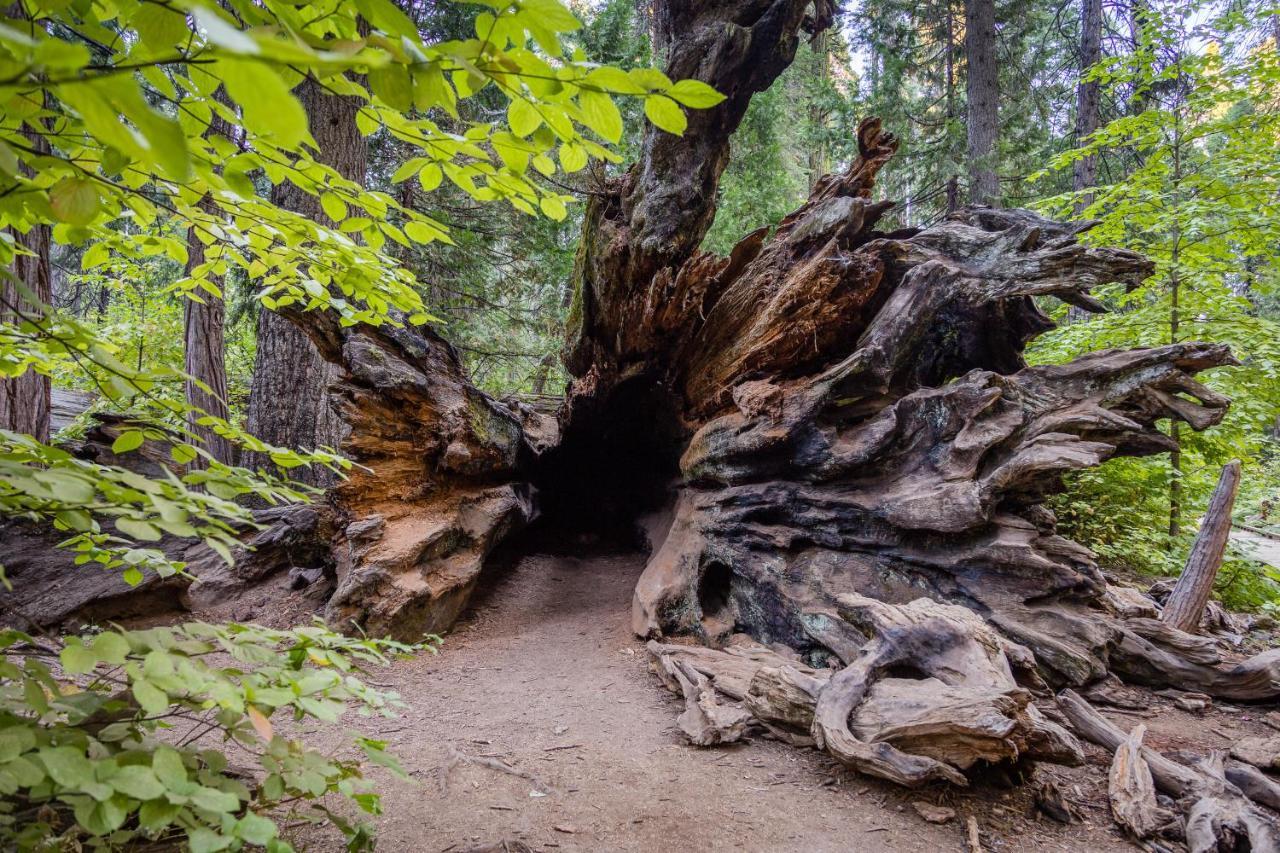 アーノルド Hikers Havenヴィラ エクステリア 写真